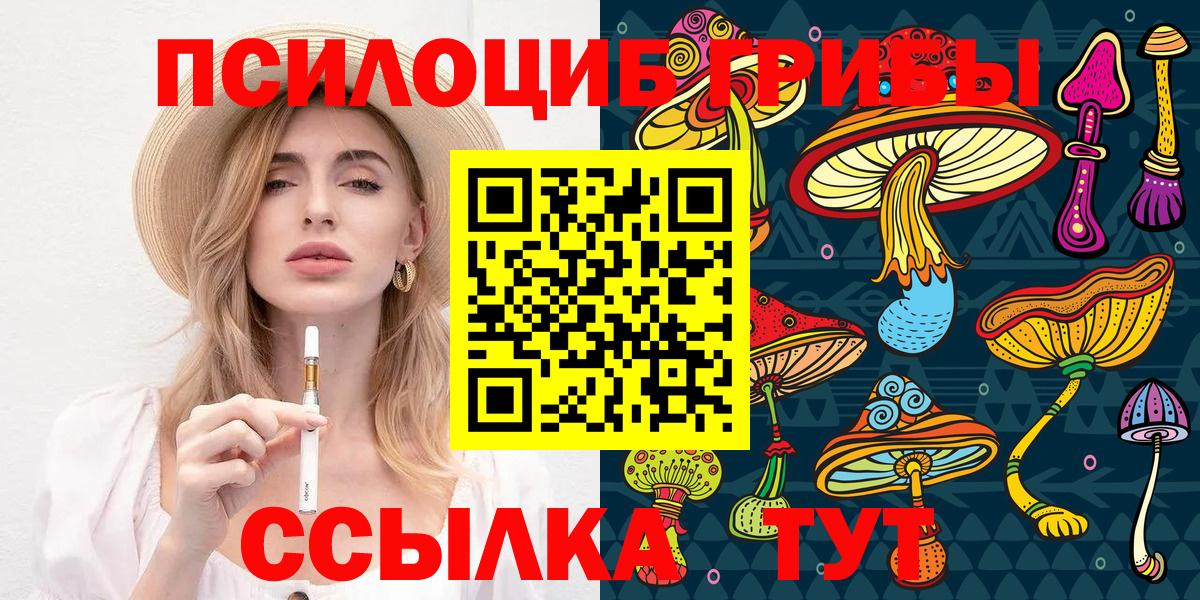 Нальчик  Псилоцибиновые грибы GOLDEN TEACHER  Вход с VPN 